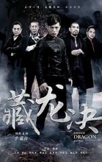 Watch Hidden Dragon Battle 123movies