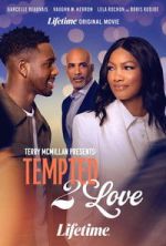 Watch Terry McMillan Presents: Tempted 2 Love 123movies