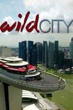 Watch Wild City 123movies
