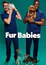 Watch Fur Babies 123movies