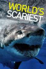 Watch World's Scariest... 123movies