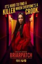 Watch Briarpatch 123movies