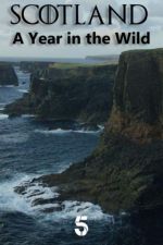 Watch Scotland: A Wild Year 123movies