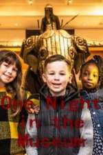 Watch One Night in the Museum 123movies