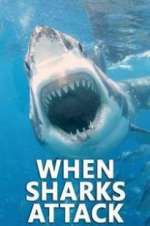 Watch When Sharks Attack 123movies