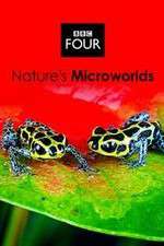 Watch Natures Microworlds 123movies