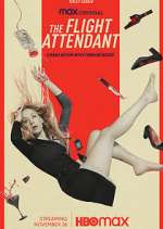 Watch The Flight Attendant 123movies
