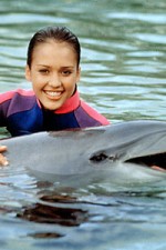 Watch Flipper (The New Adventures of Flipper) 123movies