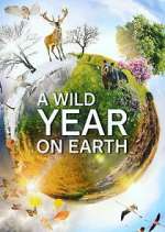 Watch A Wild Year on Earth 123movies