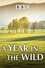 Watch A Year in the Wild 123movies