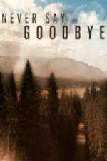 Watch Never Say Goodbye 123movies