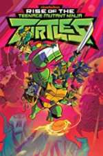 Watch Rise of the Teenage Mutant Ninja Turtles 123movies