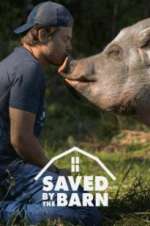 Watch Saved by the Barn 123movies