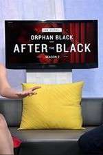 Watch Innerspace: After the Black 123movies
