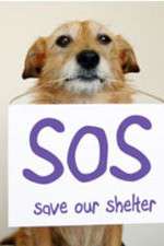 Watch Save Our Shelter 123movies