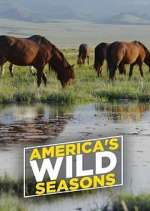 Watch America's Wild Seasons 123movies