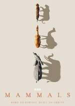 Watch Mammals 123movies