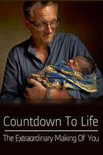 Watch Countdown to Life The Extraordinary Making of You 123movies