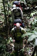 Watch Walking The Amazon 123movies