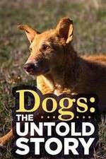 Watch Dogs: The Untold Story 123movies