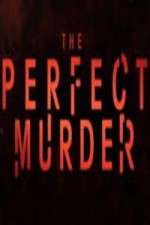 Watch The Perfect Murder 123movies