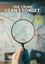 Watch The Crime I Can't Forget 123movies