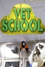 Watch Vet School 123movies