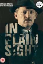 Watch In Plain Sight 123movies