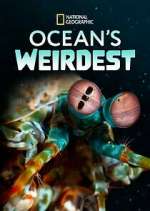 Watch Ocean's Weirdest 123movies
