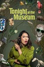 Watch Tonight At The Museum 123movies