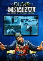 Watch So Dumb It's Criminal 123movies