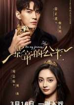 Watch Be My Princess 123movies