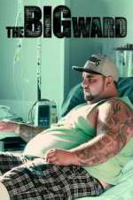 Watch The Big Ward 123movies