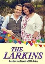 Watch The Larkins 123movies