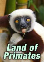 Watch Land of Primates 123movies
