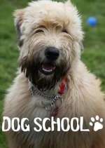 Watch Dog School 123movies