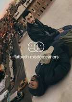 Watch Flatbush Misdemeanors 123movies
