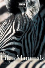 Watch The Life of Mammals 123movies