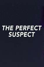 Watch The Perfect Suspect 123movies