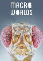 Watch Macro Worlds 123movies