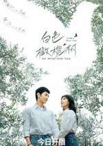 Watch The White Olive Tree 123movies