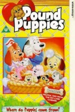 Watch Pound Puppies 123movies