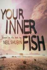 Watch Your Inner Fish 123movies