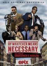 Watch By Whatever Means Necessary: The Times of Godfather of Harlem 123movies