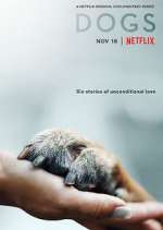 Watch Dogs 123movies