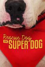 Watch Rescue Dog to Super Dog (US) 123movies