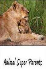 Watch Animal Super Parents 123movies
