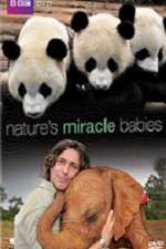Watch Natures Miracle Babies 123movies