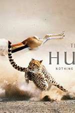 Watch The Hunt 123movies