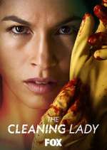 Watch The Cleaning Lady 123movies